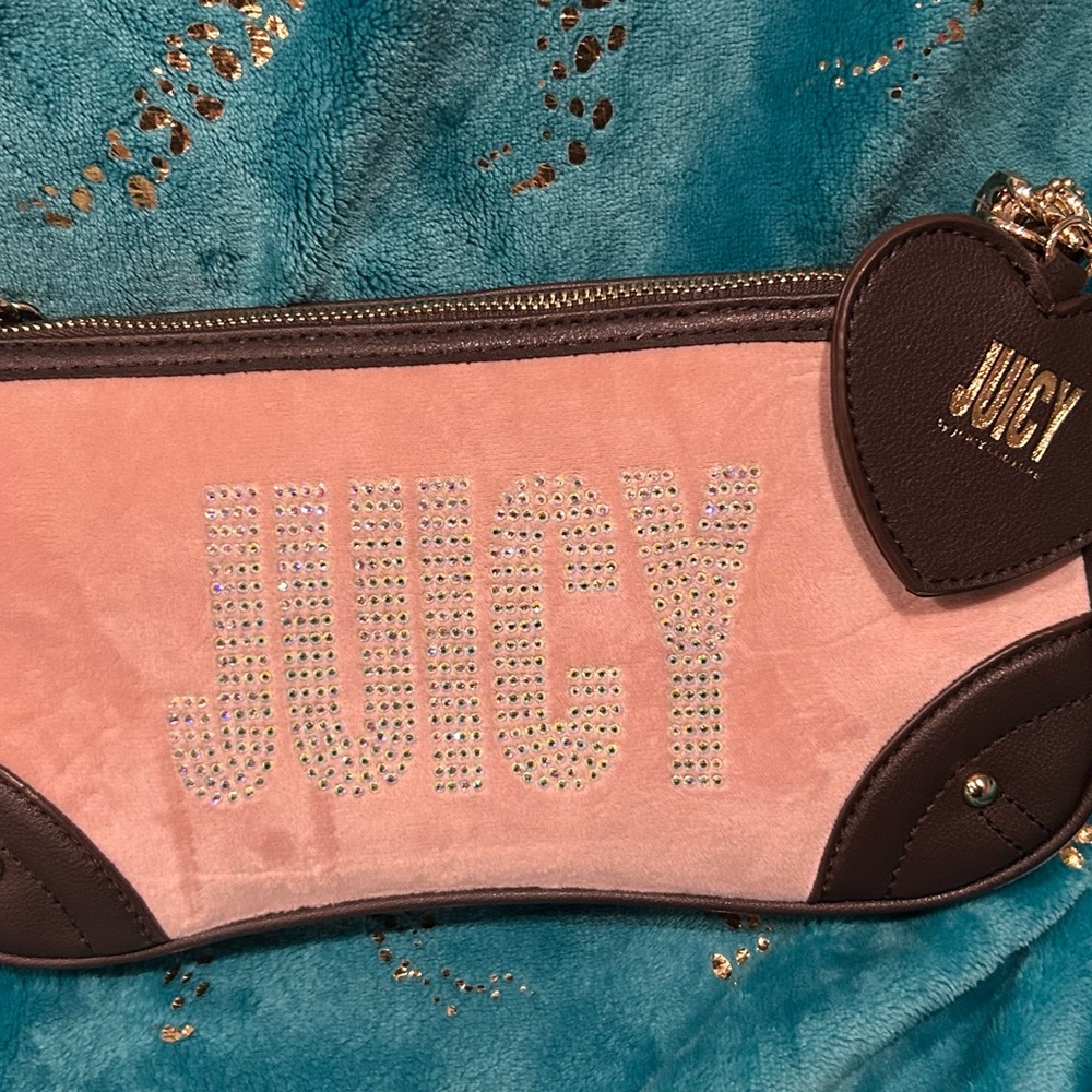 Final price - Juicy Couture Pink and Brown Shoulder Bag
